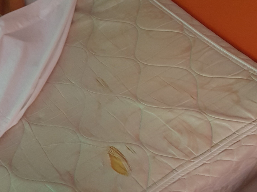 萨凡纳科尔多瓦酒店主图