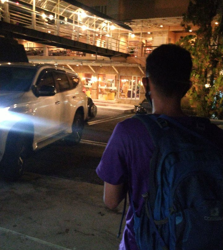 沙努尔皇家酒店主图