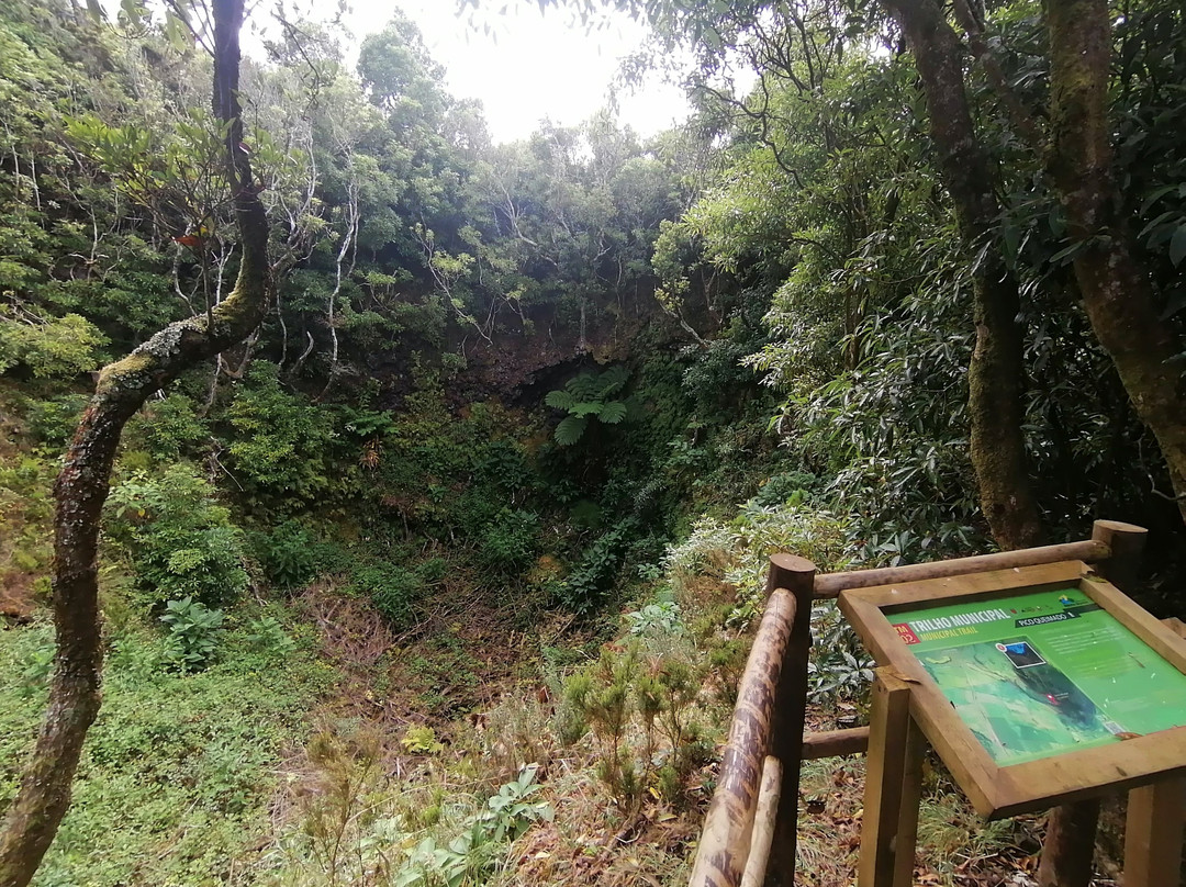 Trilho do Pico Queimado景点图片