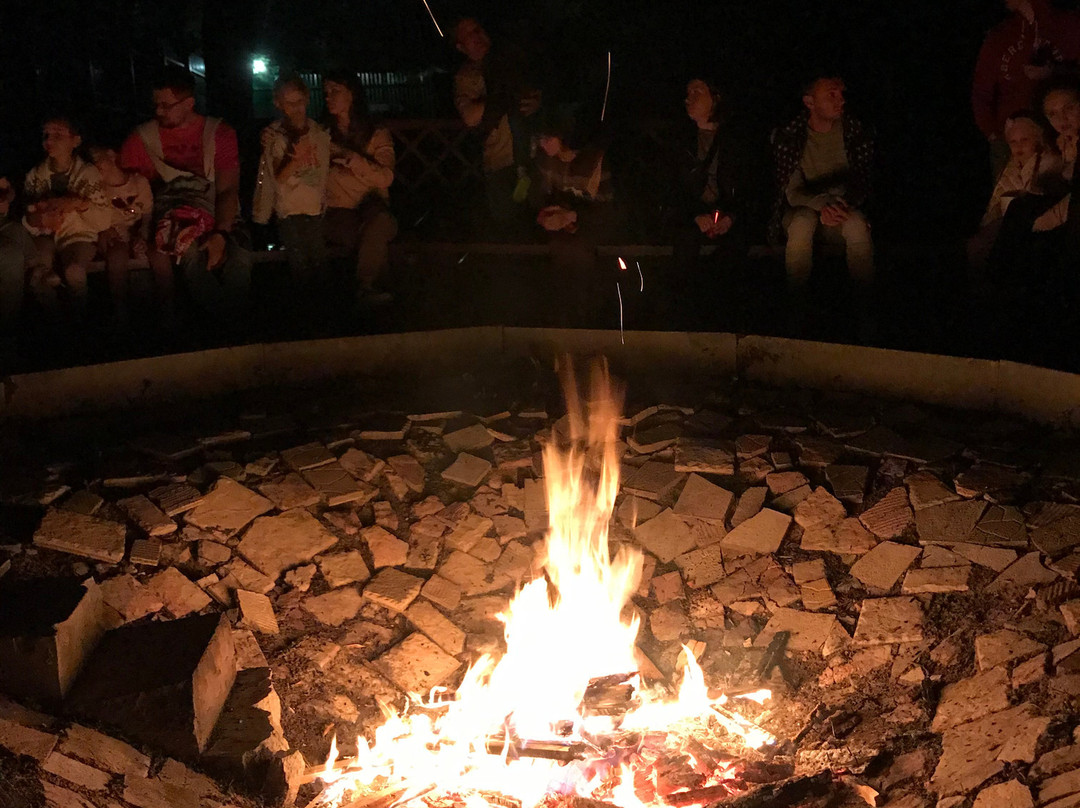 Areal Congress Hotel主图