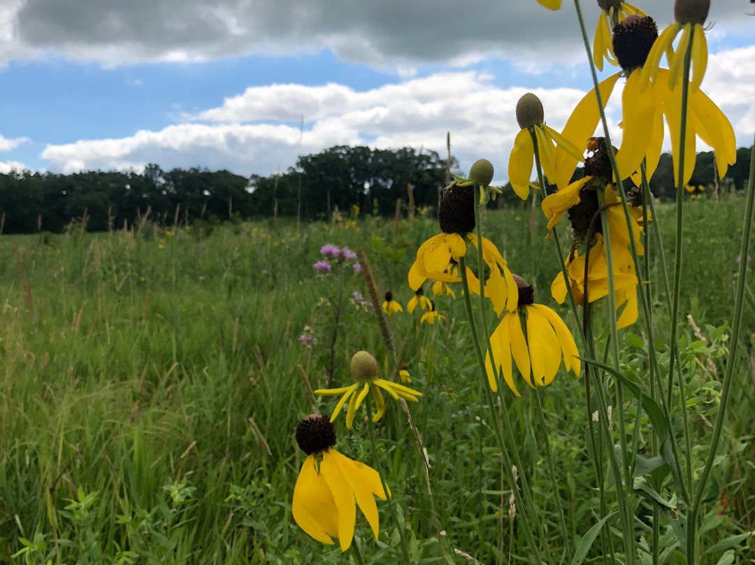 Glacial Park-Ringwood必去景点