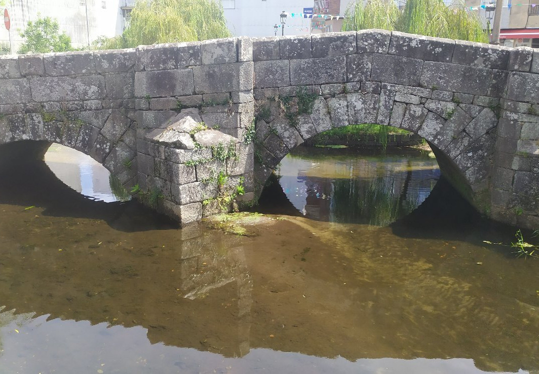 Carballeira de Caldas de Reis景点图片