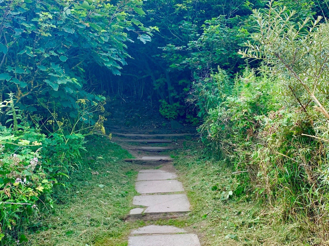 Cromer Lighthouse-克罗默必去景点