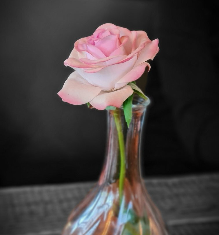 Husid / Koddinn主图