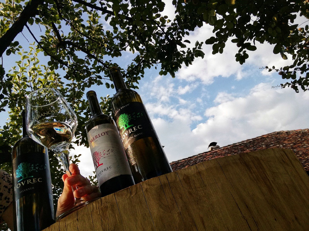 Vino Lovrec: organic winery景点图片