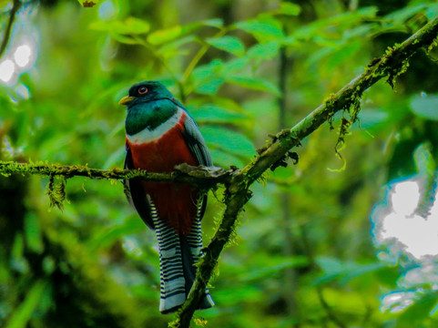 Montes Andinos-佩雷拉必去景点