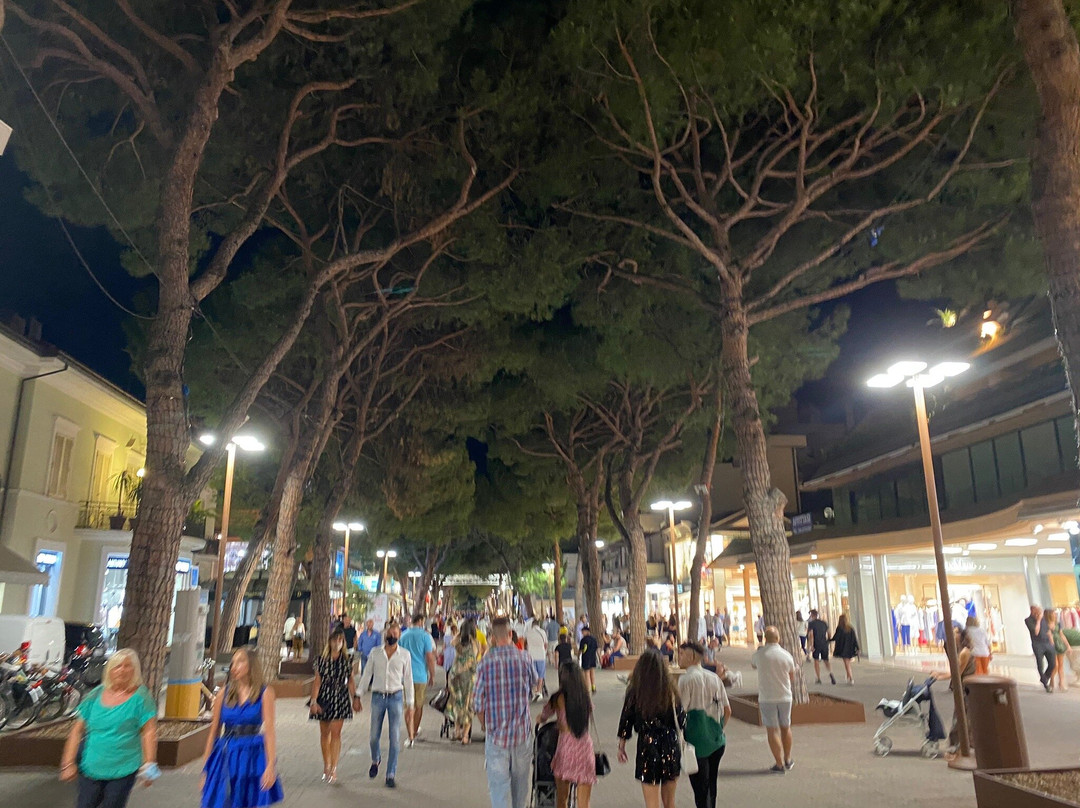 Viale Maria Ceccarini-里乔内必去景点