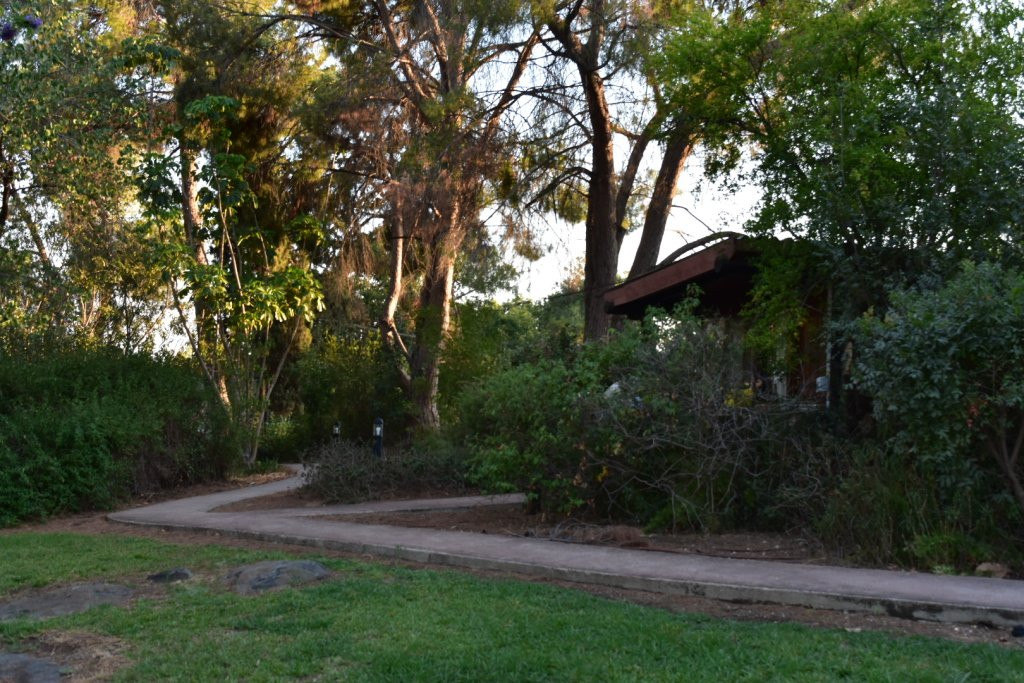 Vered Hagalil Holiday Village Hotel主图