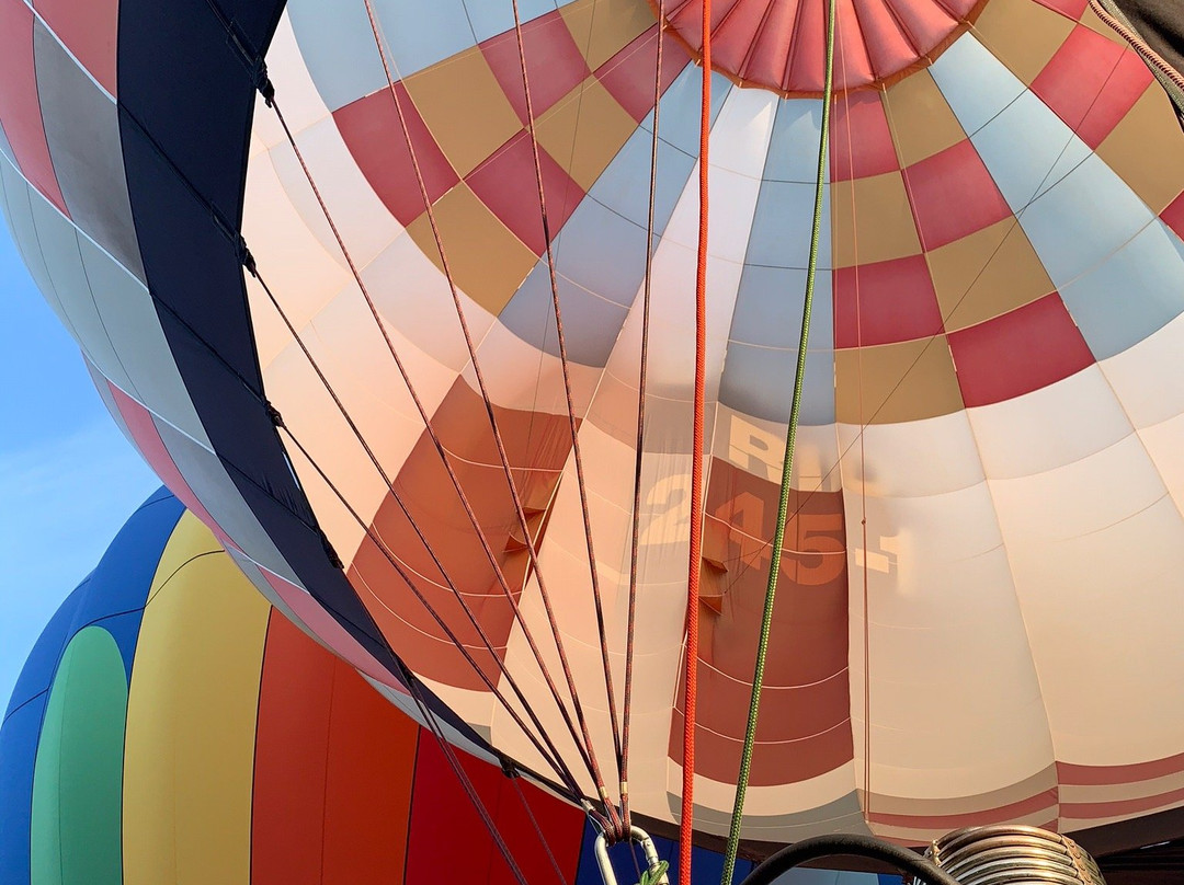 SkyCab Balloon Promotions, Inc.景点图片