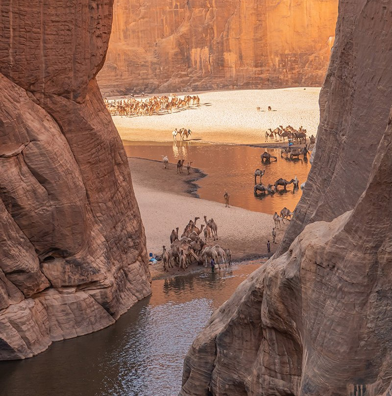 Guelta d'Archei-Fada必去景点