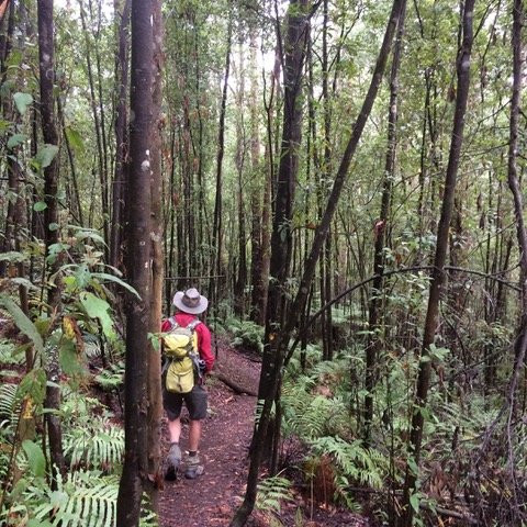 Eastern Dandenong Ranges Visitor Information Centre-Emerald必去景点