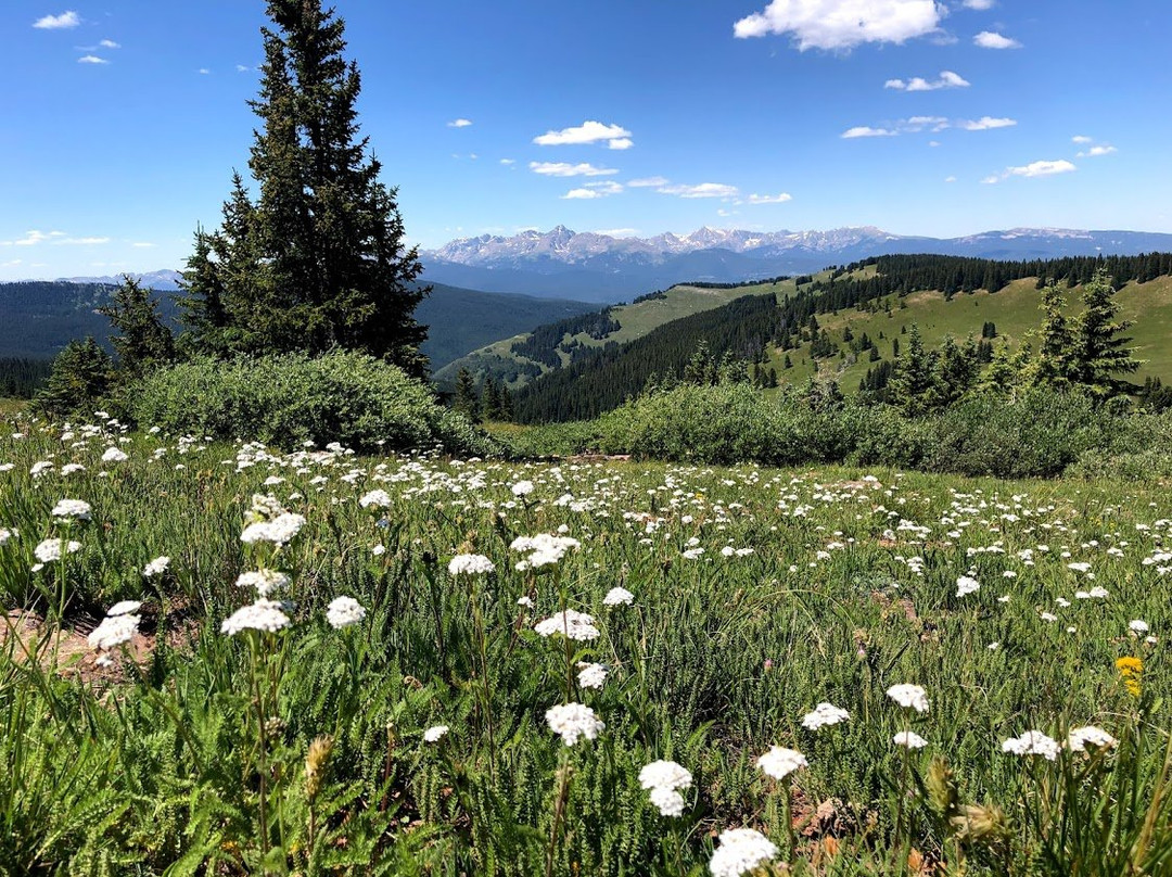 Shrine Pass Road-韦尔必去景点