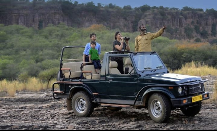 Sariska Safari景点图片
