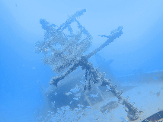 South Florida Diving Headquarters-庞帕诺比奇必去景点