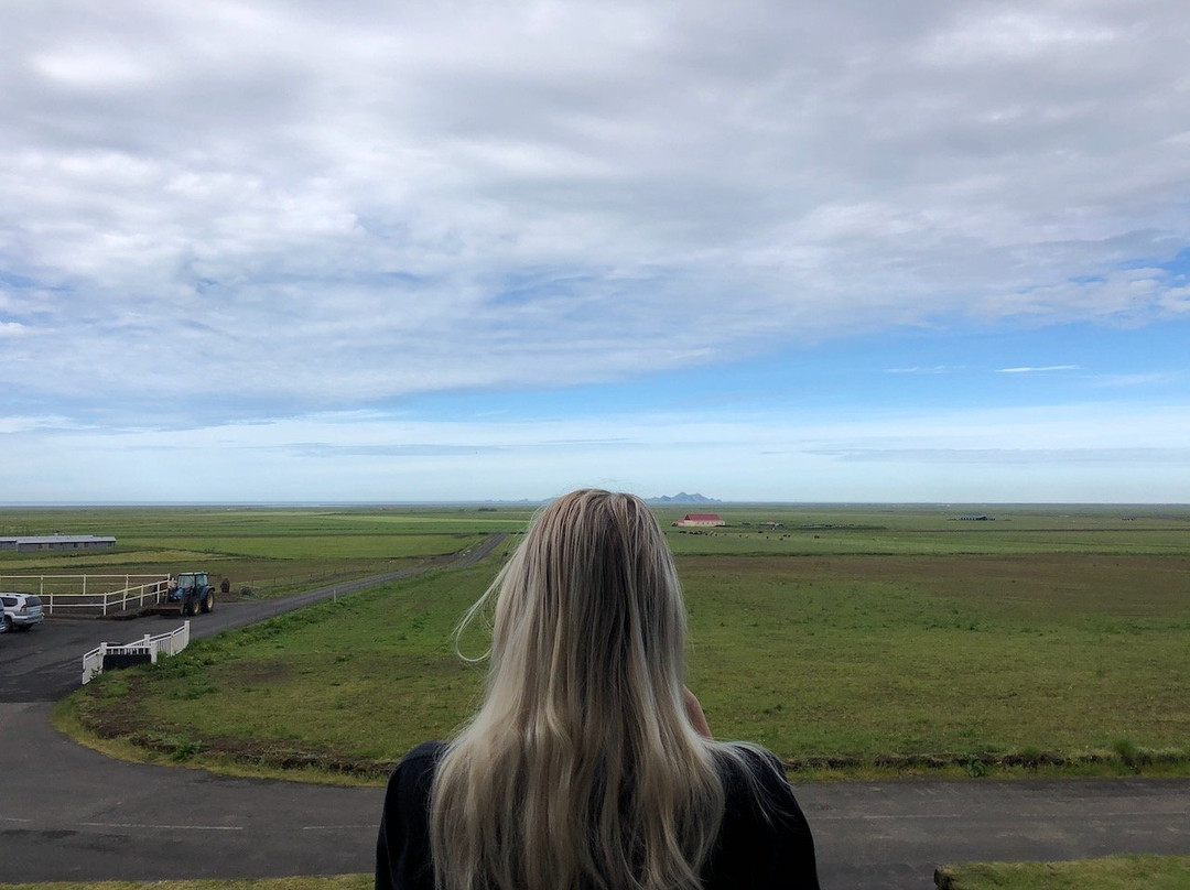 Skálakot Manor Hotel主图