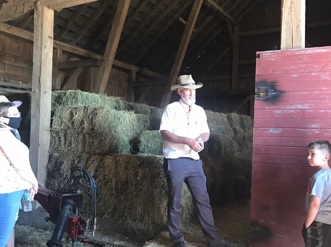 Buggy Lane Tours-Shipshewana必去景点