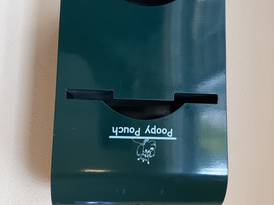 La Quinta Inn & Suites by Wyndham Rochester Mayo Clinic S主图