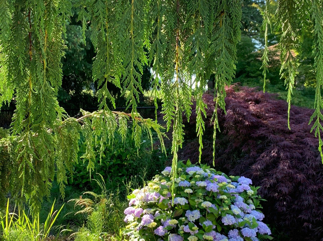 Casa S Bed & Breakfast主图