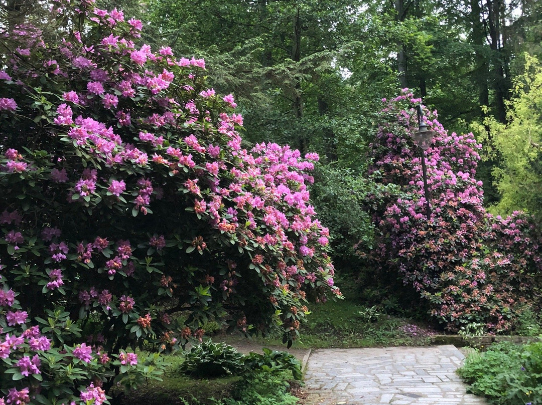 Park Zdrojowy景点图片