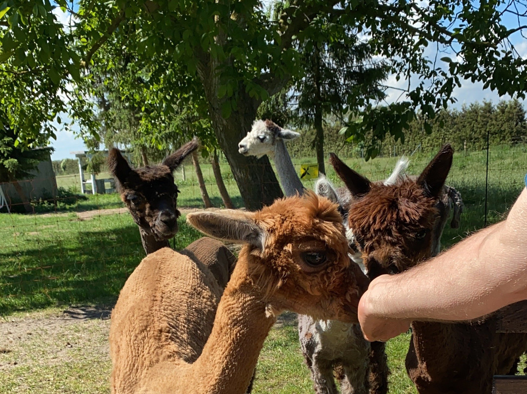 Rubkow旅游攻略图片