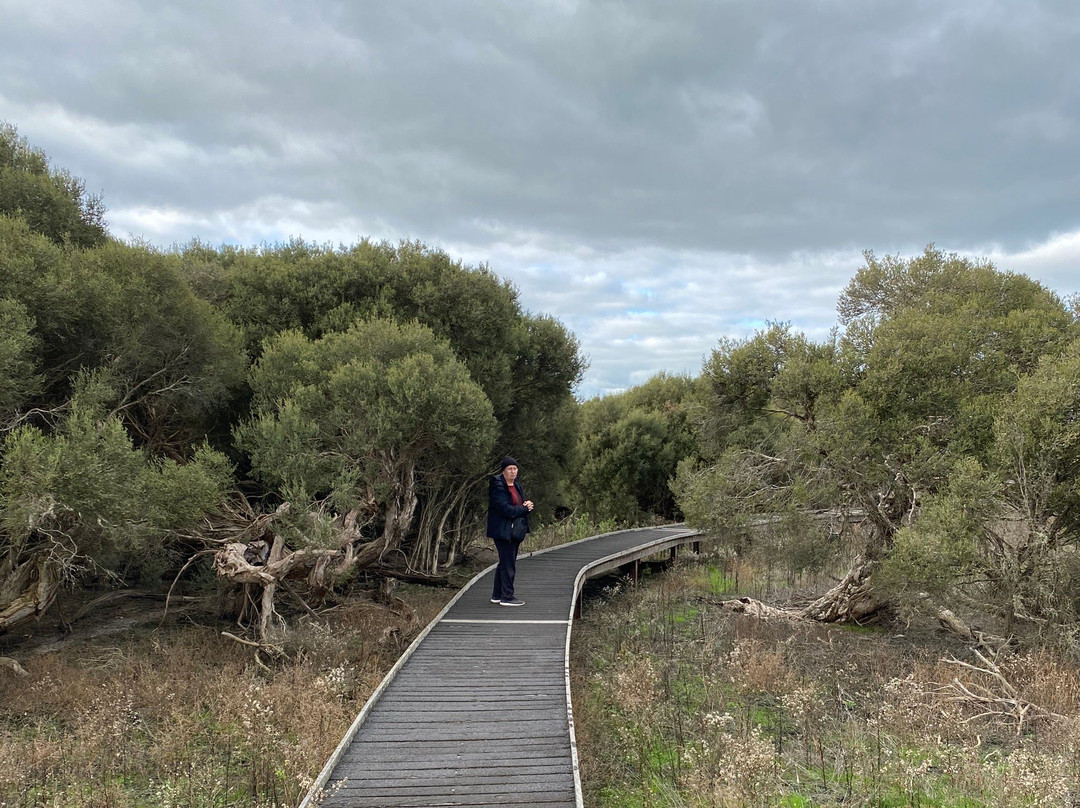 Bool Lagoon-Naracoorte必去景点