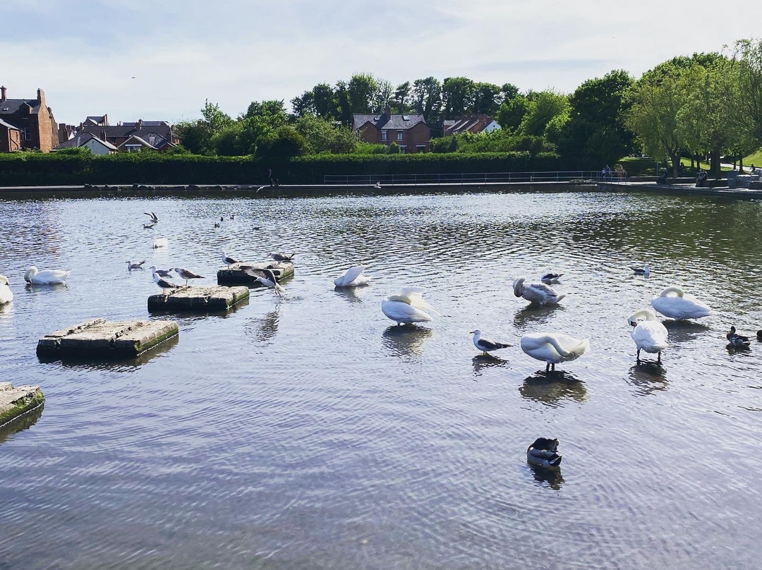 Waterworks-贝尔法斯特必去景点