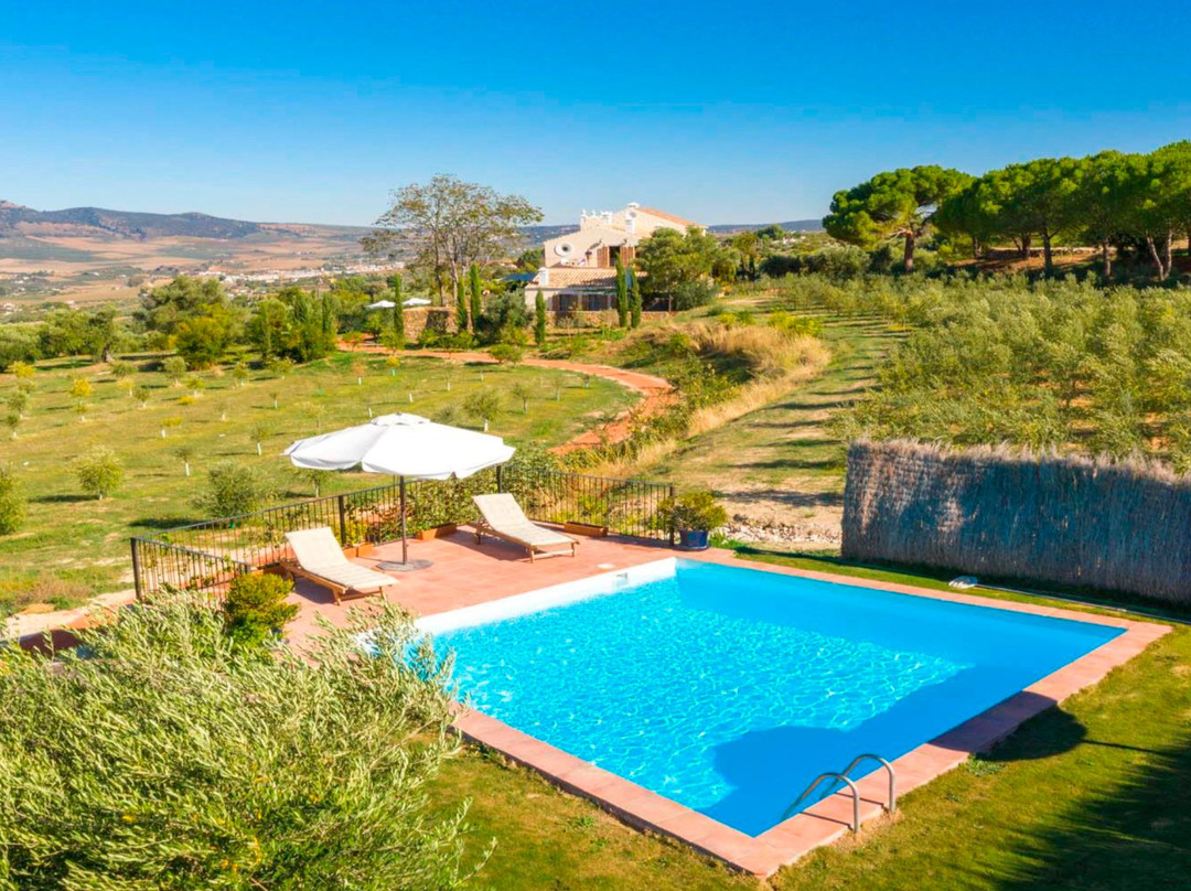 Cortijo LA Organic主图