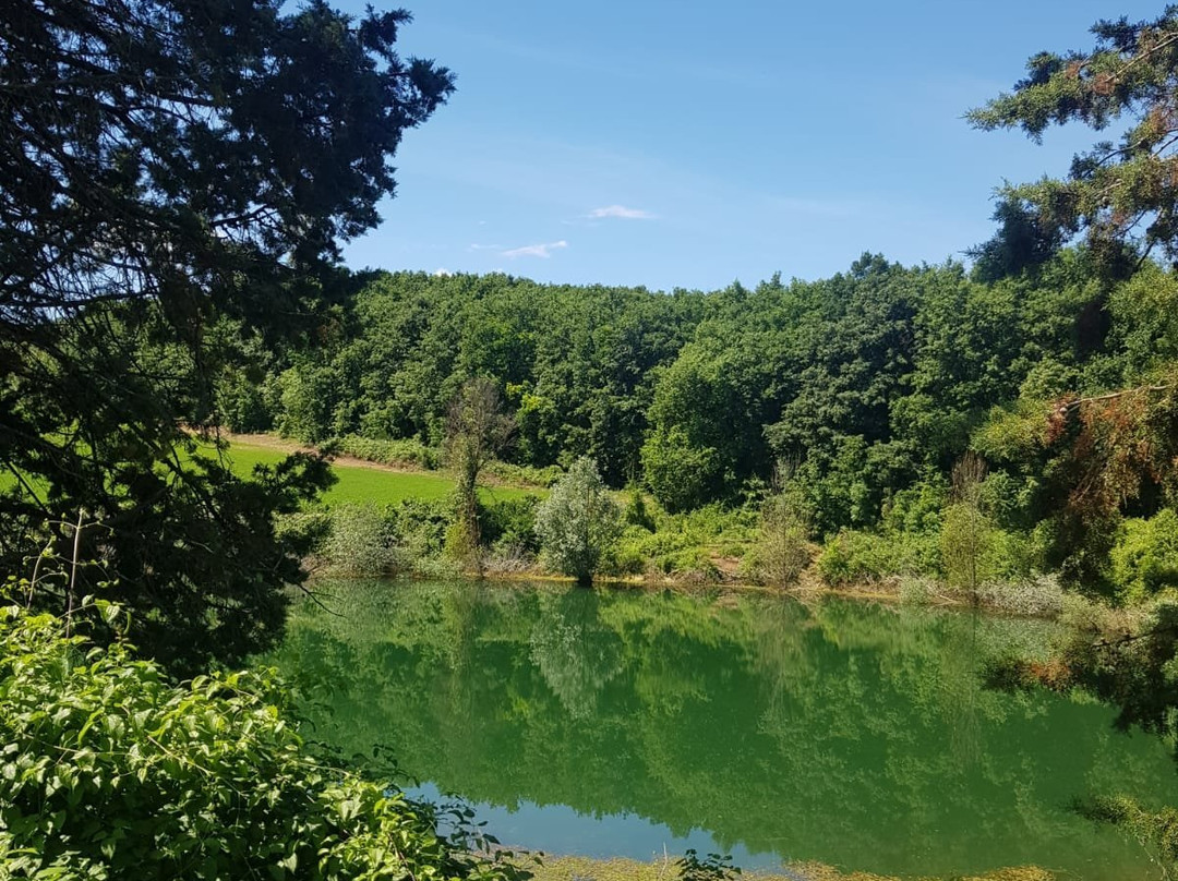 Riserva Naturale Macchia di Gattaceca e Macchia del Barco景点图片
