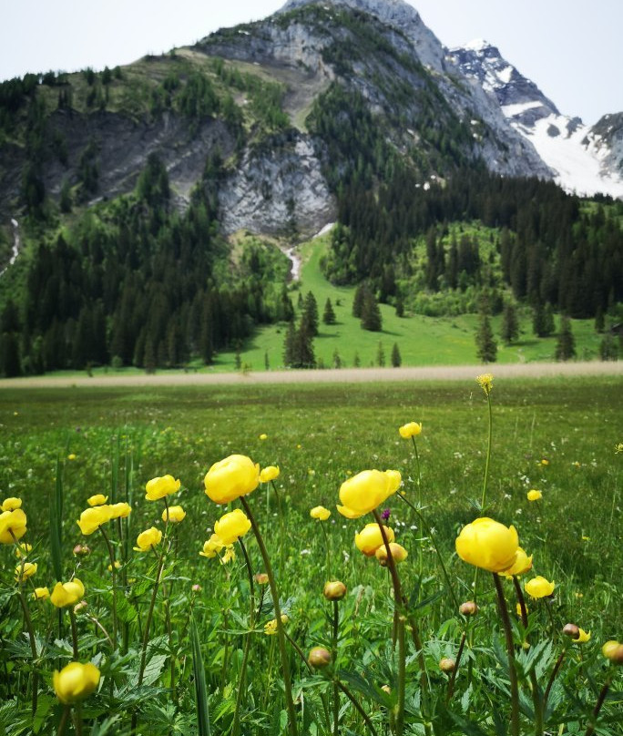 Lake Lauenen - Geltenhütte SAC - Lauenensee景点图片