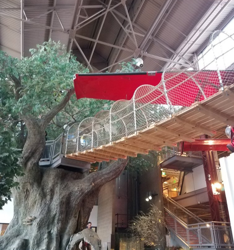 DNR Outdoor Adventure Center-底特律必去景点