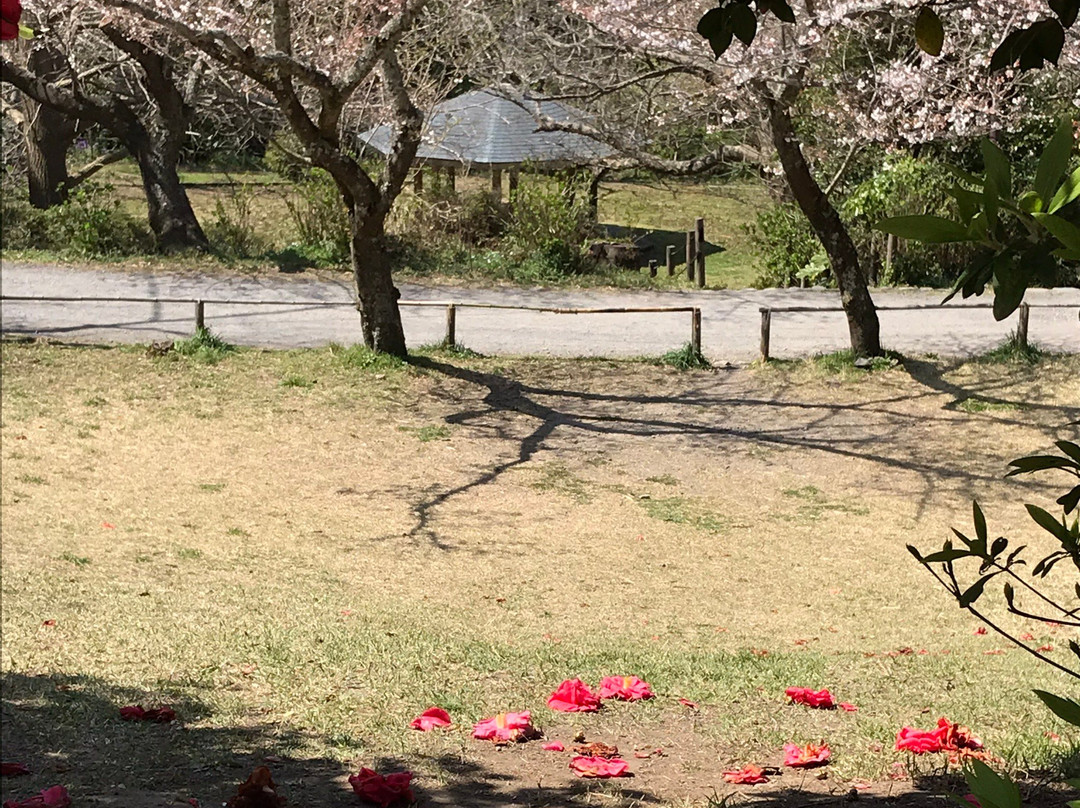 Kuzuharaoka Shrine-镰仓市必去景点