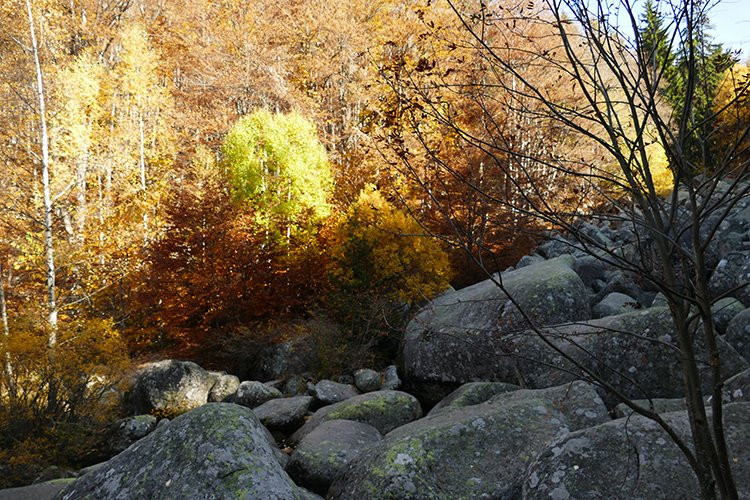 Zlatnite_Mostove -Golden Bridges-Sofia Region必去景点