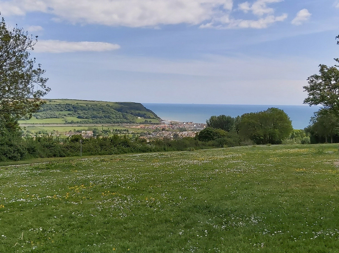 Seaton Down Picnic Area-Seaton必去景点