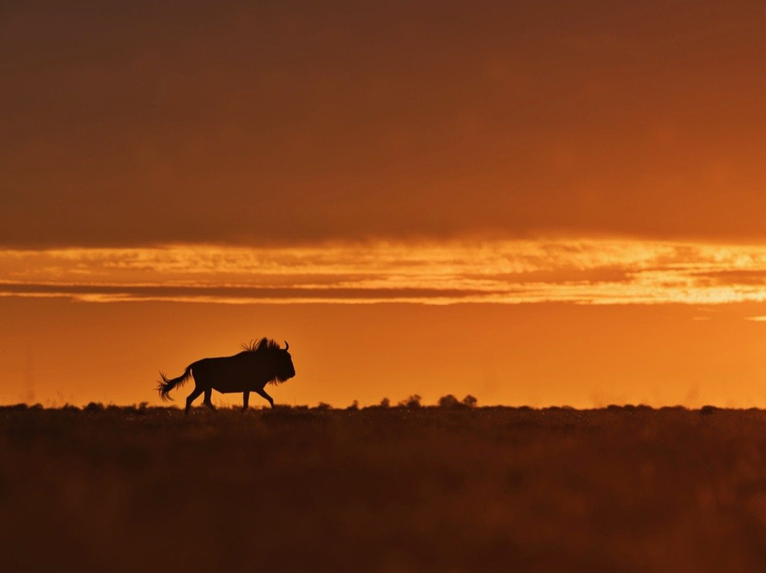 Unforgettable Africa-开普敦中心区必去景点