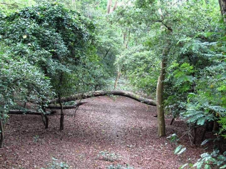 Bibhutibhushan Wildlife Sanctuary景点图片