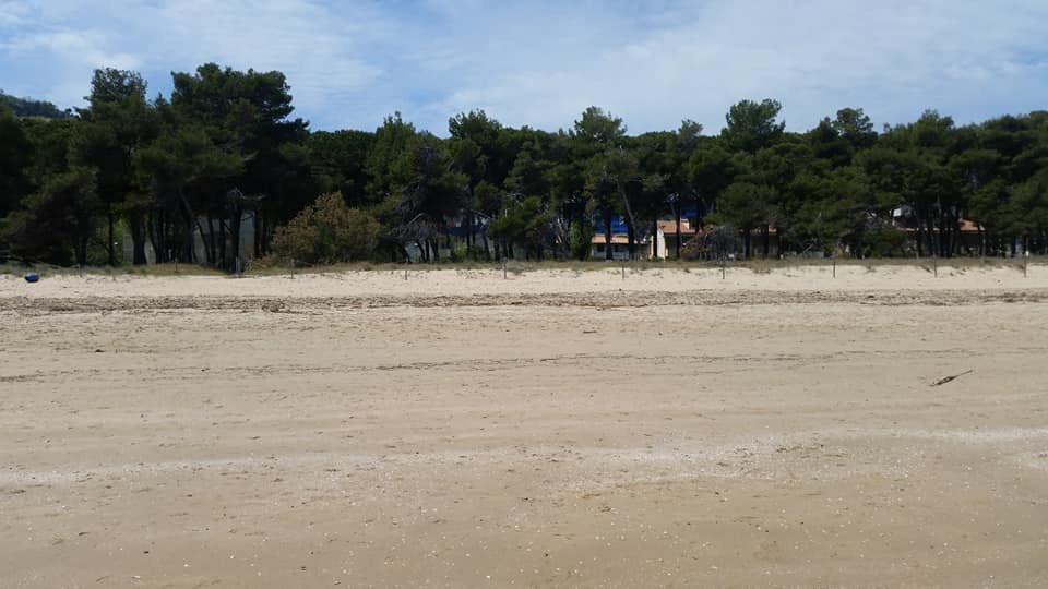 Torre di Cerrano-Pineto必去景点