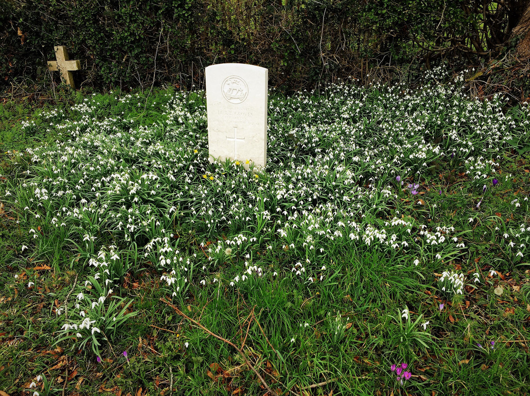 Commonwealth War Graves景点图片