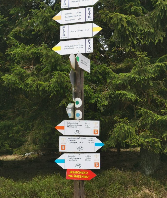 Snieznik Mountain Peak-Miedzygorze必去景点
