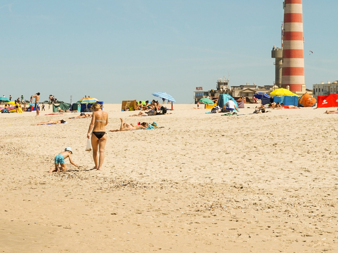 Praia da Costa Nova景点图片