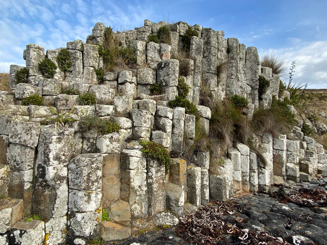 Basalt Columns-Chatham Island (Rekohu)必去景点