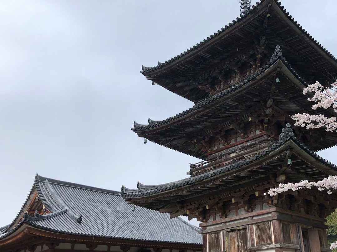 Tsubosaka Temple Dainehan Sekizo景点图片