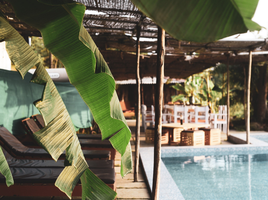 Yin Yoga Therapy Training-Morjim必去景点