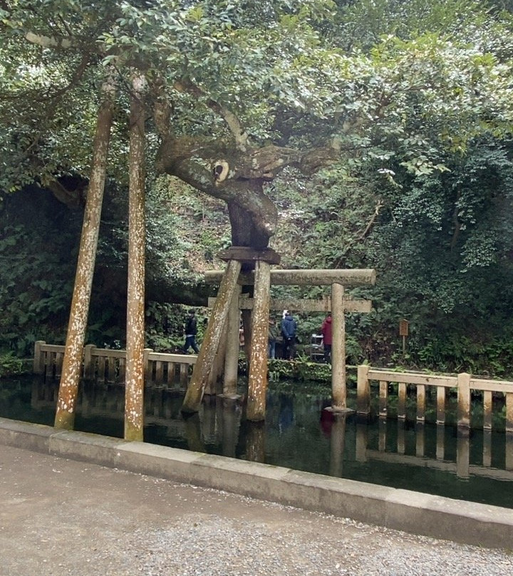 Mitarashi Pond-鹿岛市必去景点