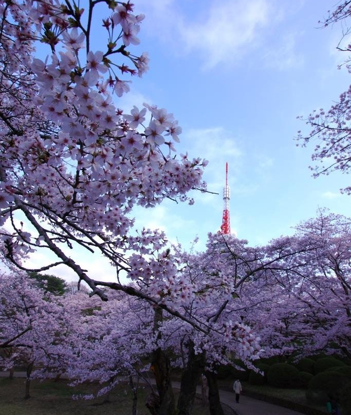 Hachimanyama Park-宇都宫市必去景点