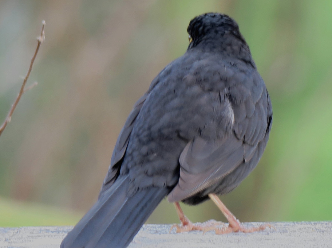 赫尔特山谷水疗酒店主图