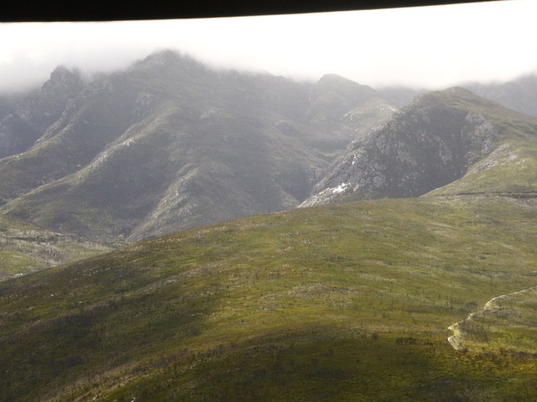 Golden Lion Adventures-Sedgefield必去景点