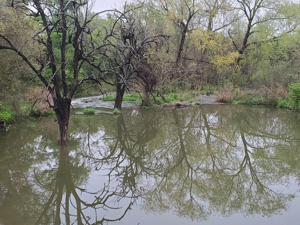 Brushy Creek Regional Trail-斯德伯克必去景点