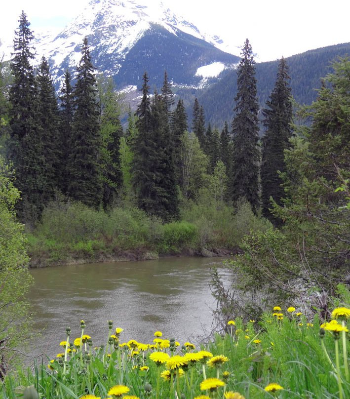 Blue River Black Spruce Provincial Park-Blue River必去景点