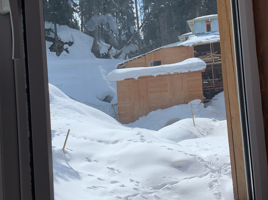 Kolahoi Green Heights Gulmarg主图