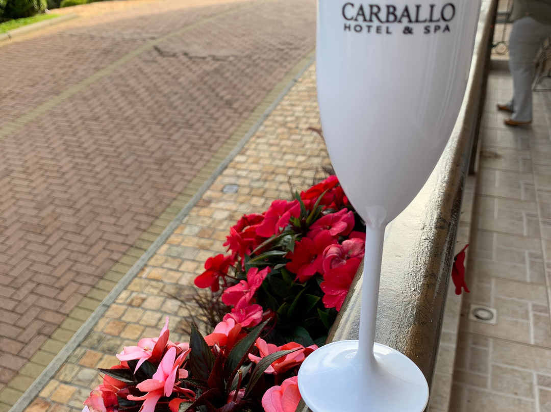 Carballo Hotel & Spa主图